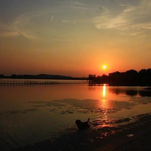 如果这是最后一页