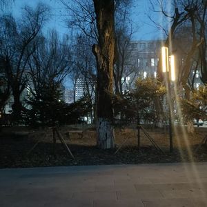 被风吹到（Prod.DIVINE MUSIC)