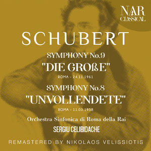 Symphony No. 9 in C Major, D. 944, IFS 740:I. Andante - Allegro, ma non troppo