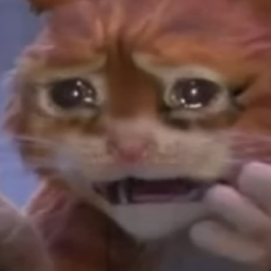 I CAN'T FALL IN LOVE