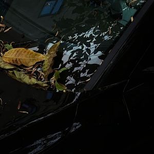 给电影人的情书