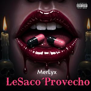 LeSacoProvecho