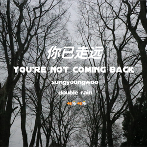 你已走远