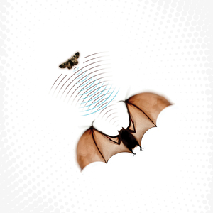 Murmurate (Instrumental)