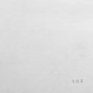 生前葬