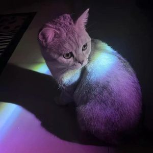 "Dave"Afro Type Beat