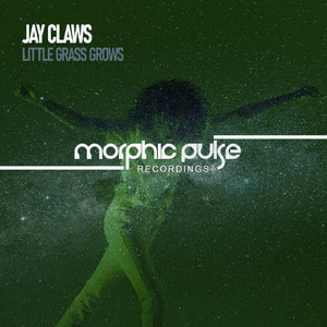 Little Grass Grows (Original Mix)