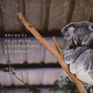 낮잠