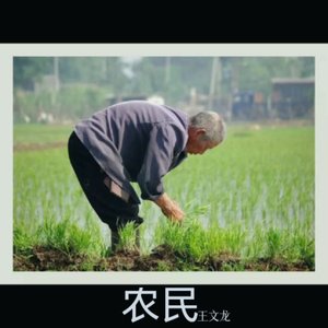 农民