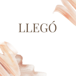 Llegó