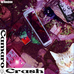 Me and You, We’re Like Bunnies in a Field…