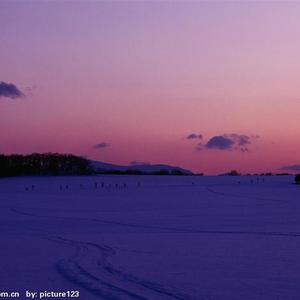 为诶护发素的旦