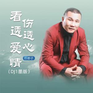 看透爱情伤透心 (DJ1墨版)