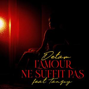 L'amour ne suffit pas (feat. Detam)