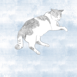 MEOW