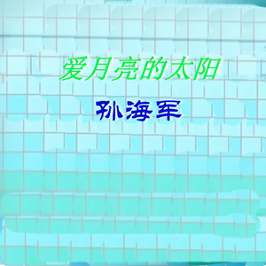 爱月亮的太阳
