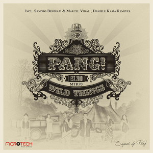 Plockepinn (Original Mix)
