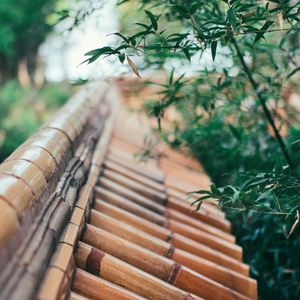 春分 Guitra Trap Beat