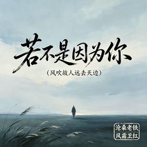 若不是因为你（风吹故人远去天边）