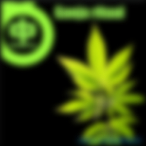 Ganja Ritual (Original Mix)