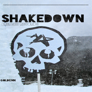 Shakedown (Original Mix)