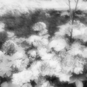 施与（Prod by Cud）