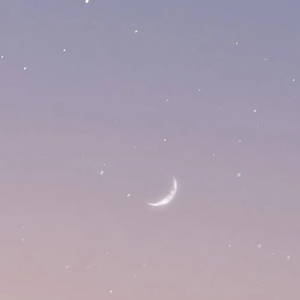 走马