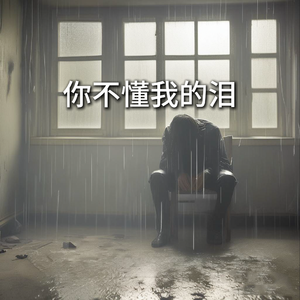 你不懂我的泪