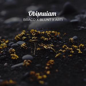 Obișnuiam