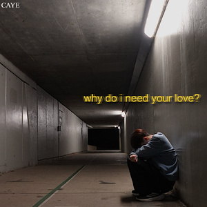 i can't help but hate myself (Instrumental Version)