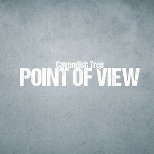 Point of View