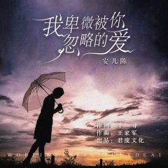 我卑微被你忽略的爱