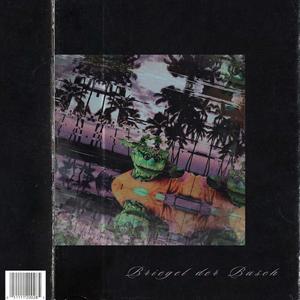 Briegel der Busch (feat. soniclair)