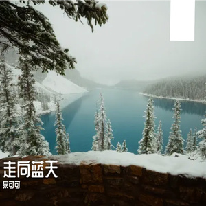 《回忆的乐章》