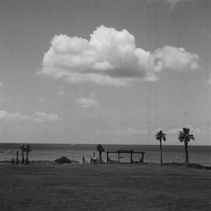 게으름이 살찌우는 나의 계절