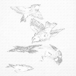 A Thousand Times Before