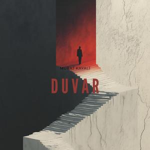 Duvar