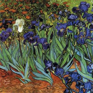 睡莲旁的半幅鸢尾花