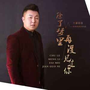 除了梦里再没见过你