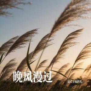 晚风漫过