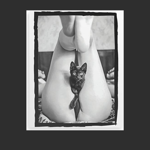 Chat La