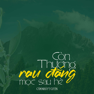 Còn Thương Rau Đắng Mọc Sau Hè
