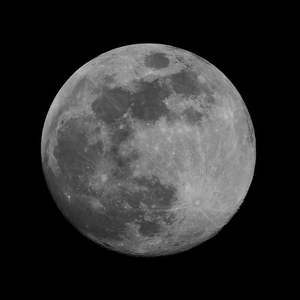 Owijki, szczęki, rany, krew i rękawice