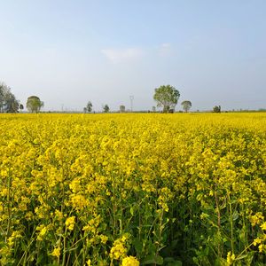 WAV文件_饺香里的团圆年_103806305834626049_1773149710814