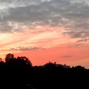 七月一日的深大没有宵夜街