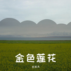 《金色莲花》白笑天演唱 MIX