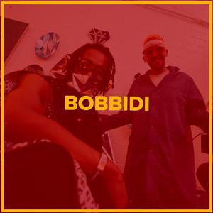 Bobbidi