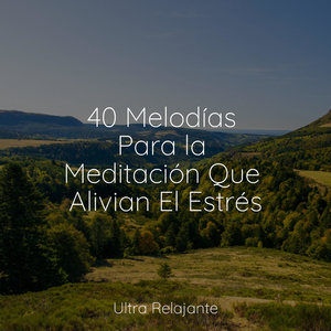 Descansando Junto Al Lago