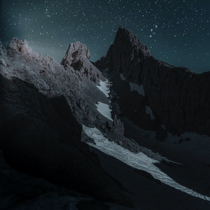 Swimming with the Delphines