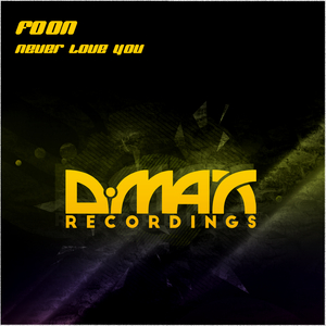 Never Love You (Original Mix)
